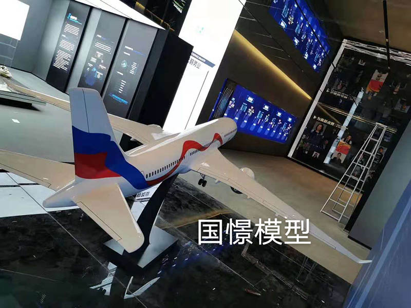 汝南县飞机模型